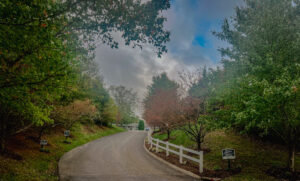 Driveway leading into apartment community