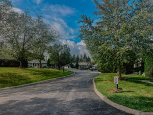 Bluestone's driveway lined with trees