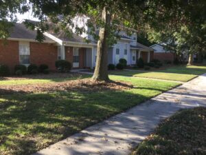 A one story building with a sidewalk and tree