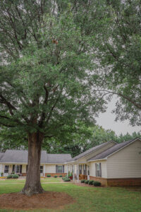 Townhome style apartment buildings with green grass and a large tree