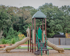 Playground jungle gym