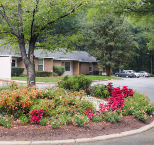 A brick one story building behind a tree and blooming bushes.