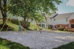 Swing set and jungle gym