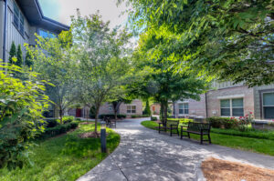 Outdoor area with trees, shade and seating area