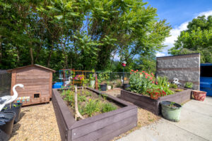 Communal raised garden beds and flower pots