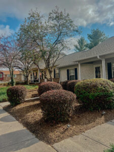 Single story apartment with front porch and landscaping