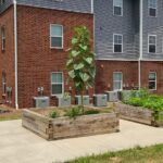 Apartment complex and garden boxes