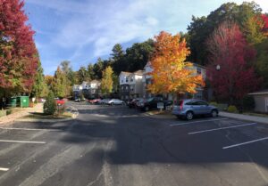 Apartment Complex and Fall Trees
