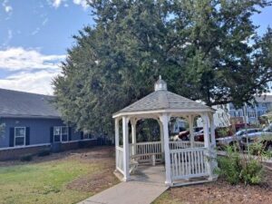 A white gazebo in front of a tree