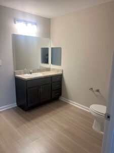 A bathroom with a vanity and toliet